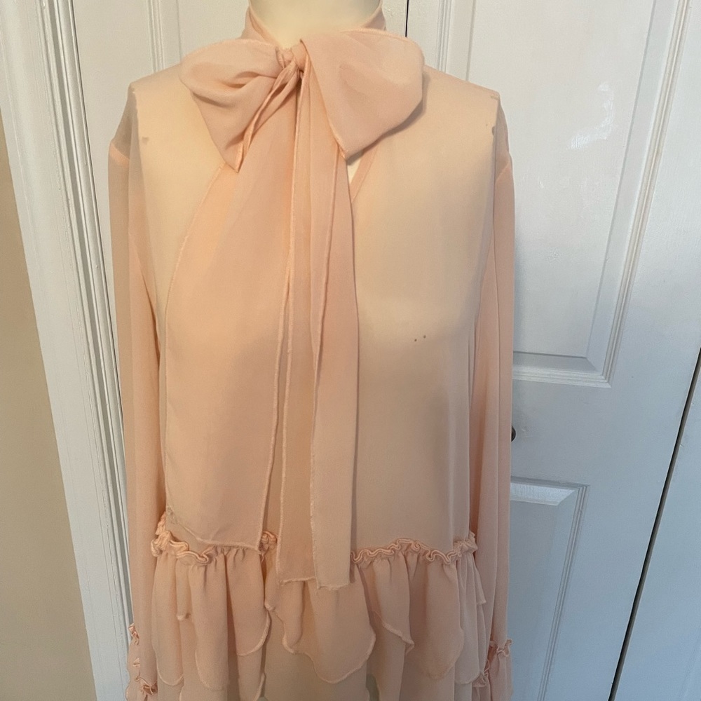 Sheer pink blouse